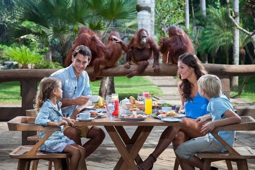 Breakfast with Orangutans - Full Day Bali Tour