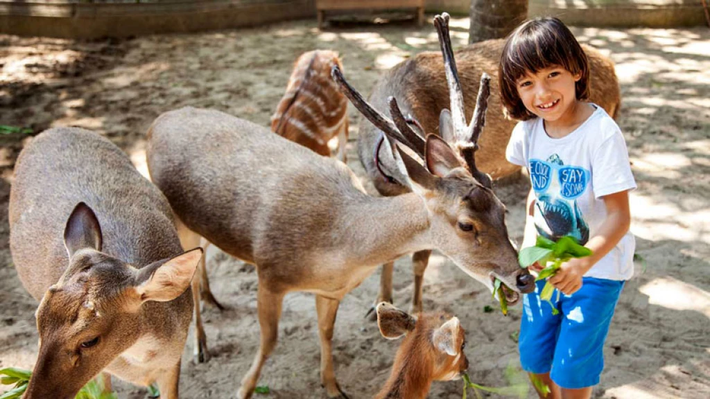 Breakfast with Orangutans - Full Day Bali Tour