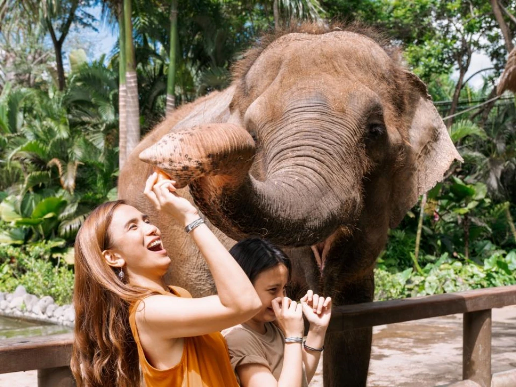 Breakfast with Orangutans - Full Day Bali Tour