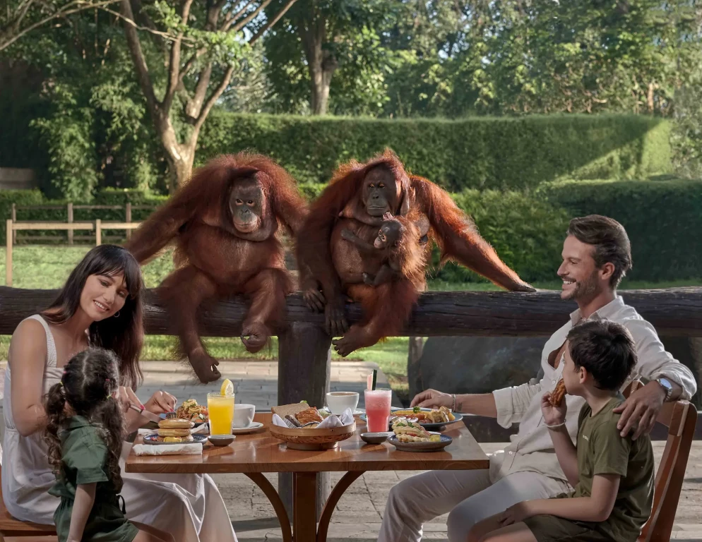 Breakfast with Orangutans - Full Day Bali Tour