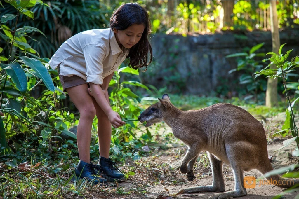 Breakfast with Orangutans - Full Day Bali Tour