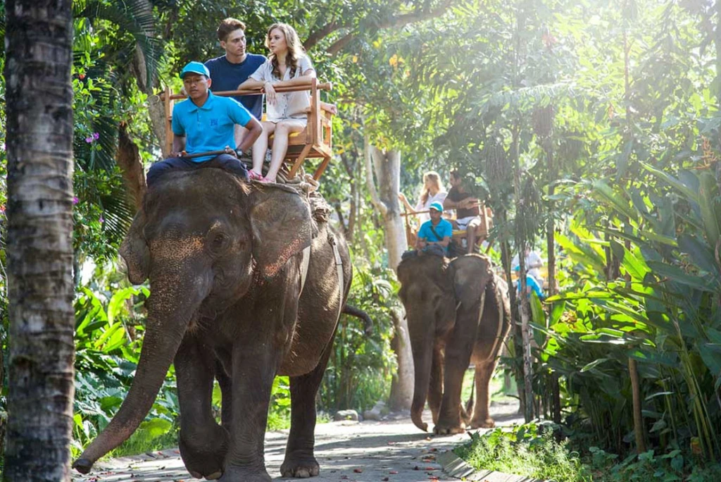 Breakfast with Orangutans - Full Day Bali Tour