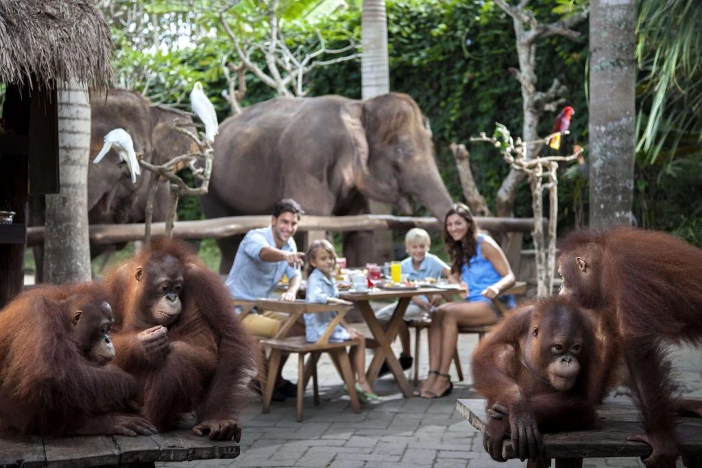 Breakfast with Orangutans - Full Day Bali Tour