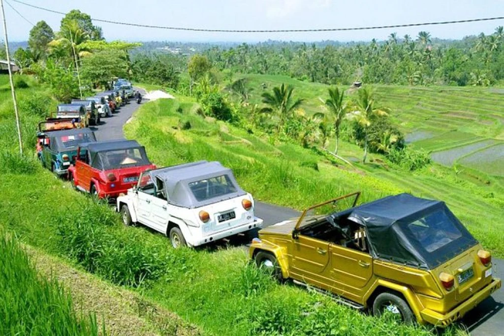 Full-day adventure with a classic VW in Bali