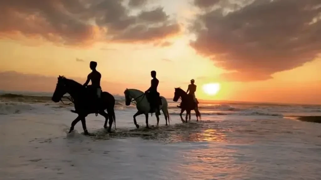 Bali Snorkeling + ATV Safari Tour