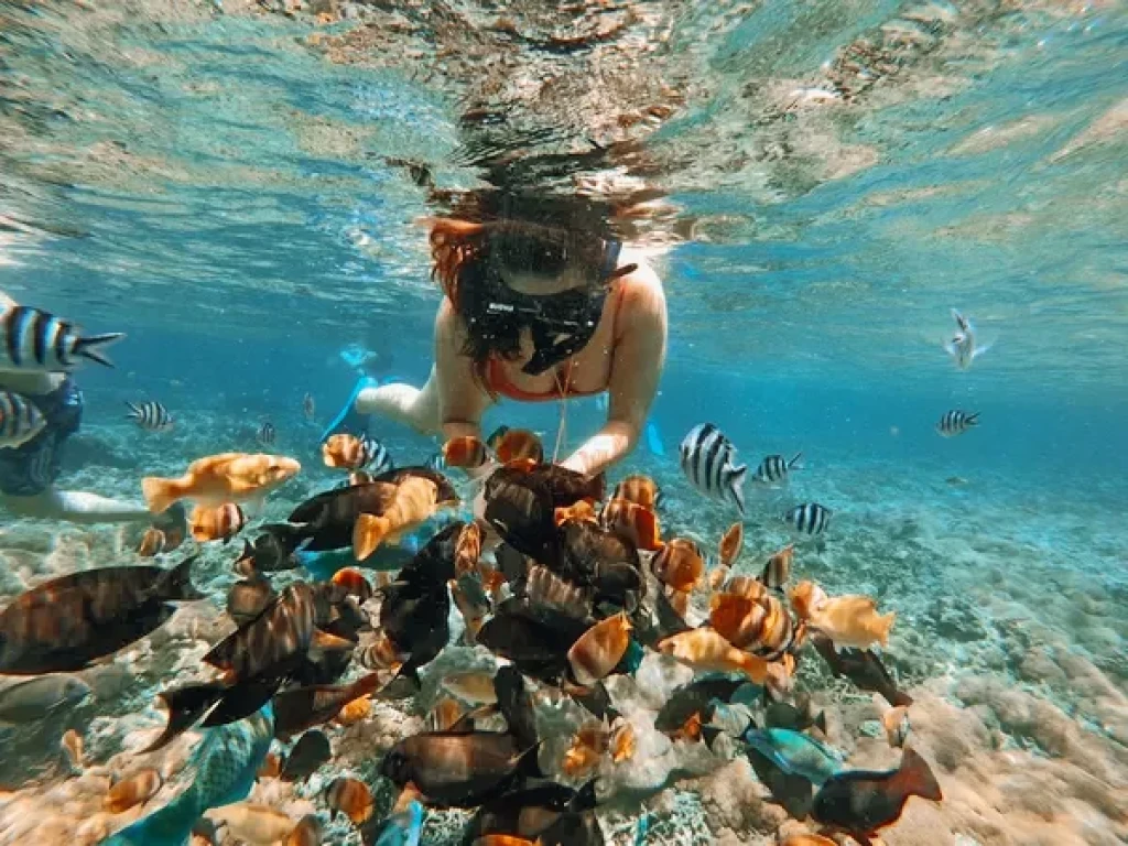 Bali Snorkeling + ATV Safari Tour