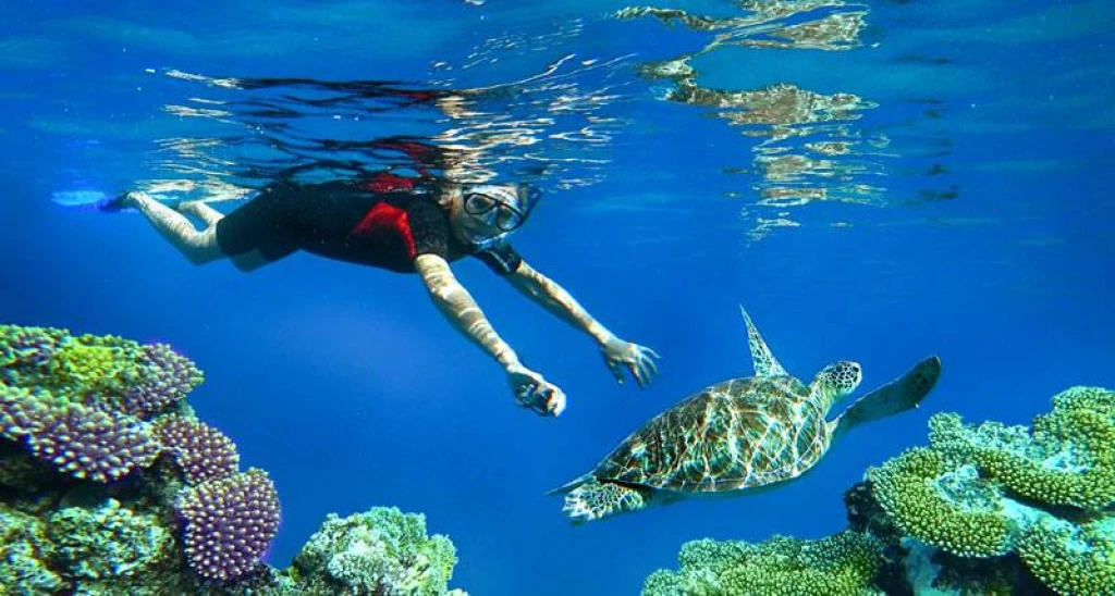 Bali Snorkeling + ATV Safari Tour