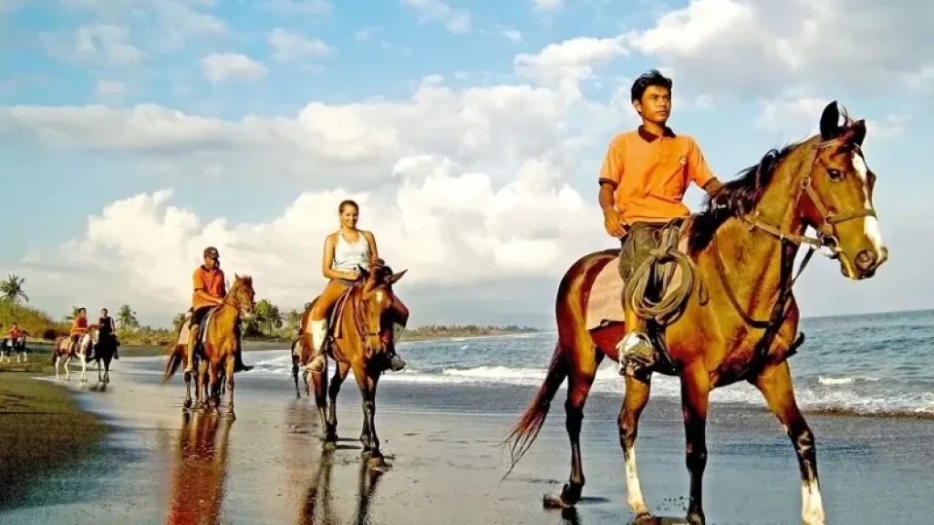 Bali Snorkeling + ATV Safari Tour