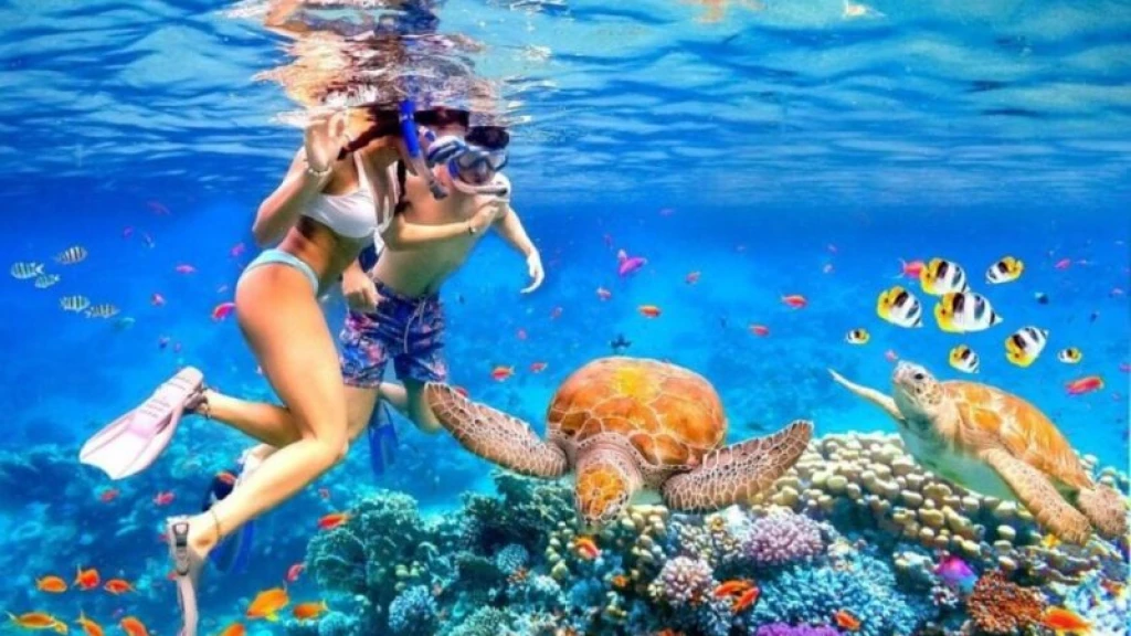 Bali Snorkeling + ATV Safari Tour