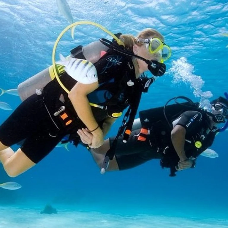 Bali Diving Tour 2 dives