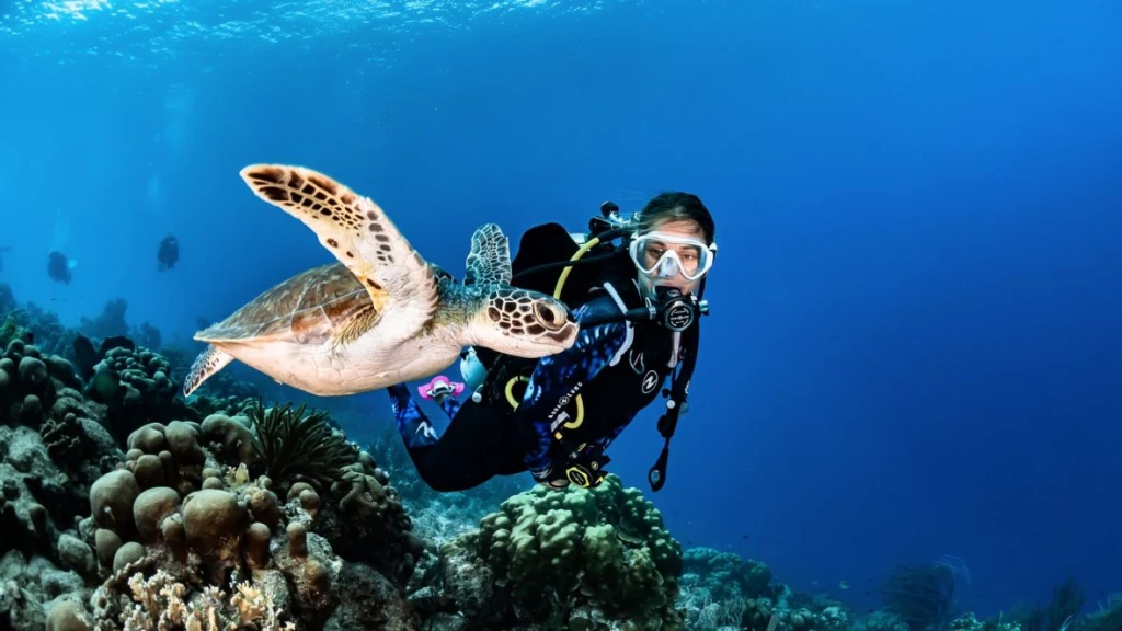 Bali Diving Tour 2 dives