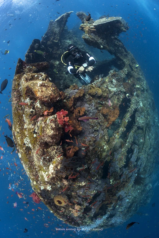 Bali Diving Tour 2 dives