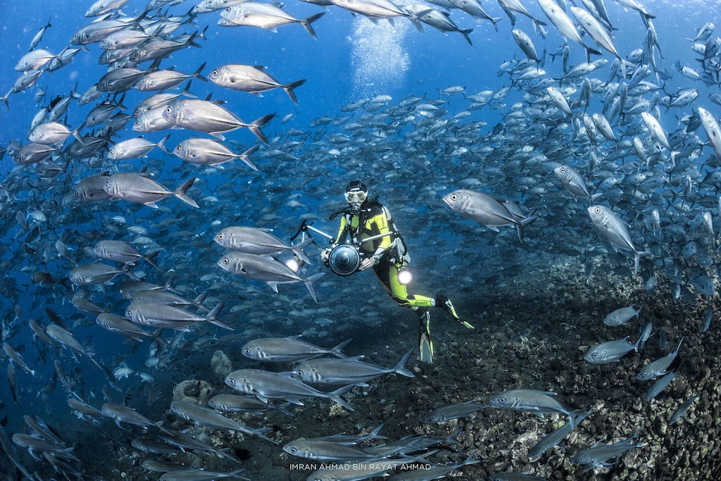 Bali Diving Tour 2 dives