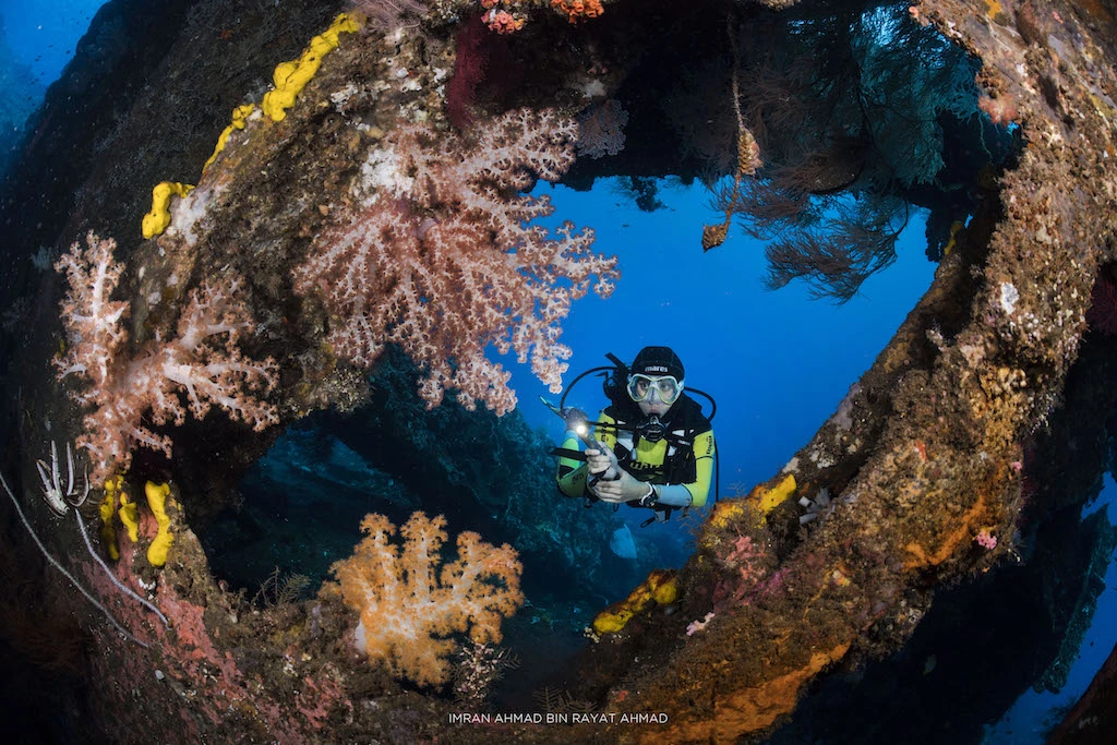 Bali Diving Tour 2 dives