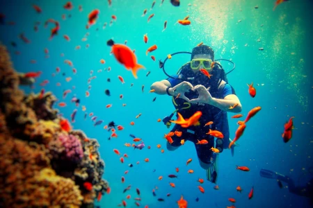 İstanbul Yeni Havalimanı Kalkışlı THY ile 5 Gece 6 Gün Kızıldeniz Rüyası ; Prestij Sharm El Sheikh T...