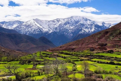 Excursion dans la Vallée de l'Ourika depuis Marrakech