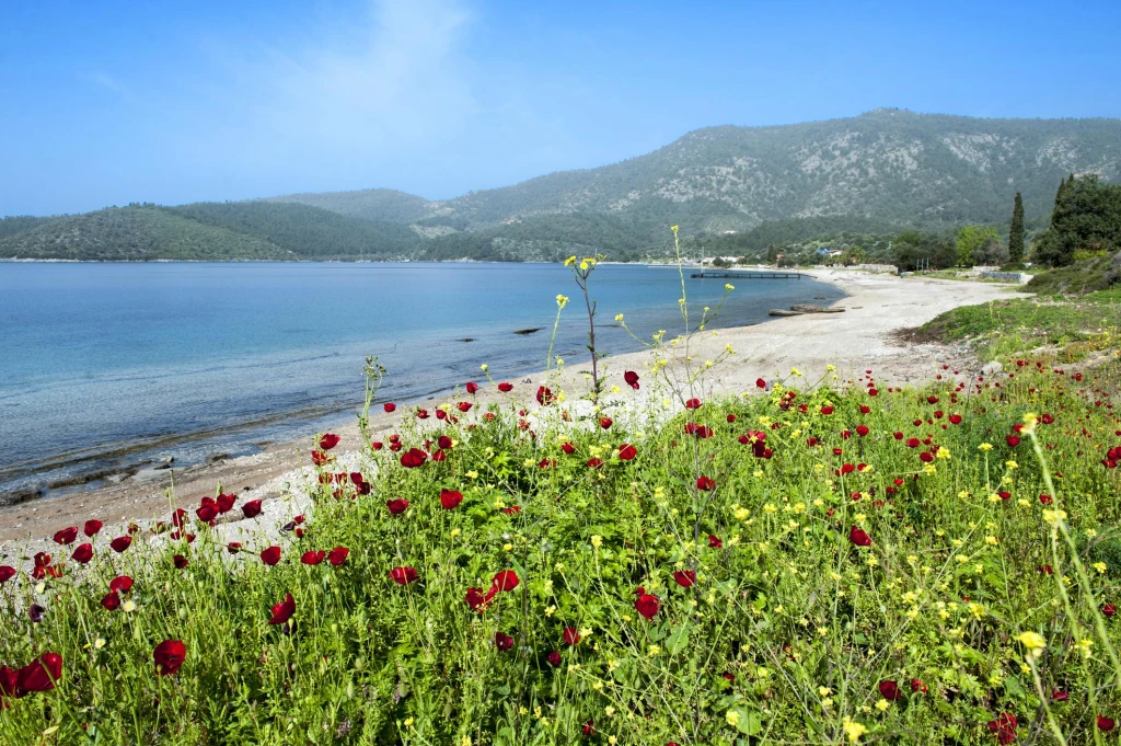 Lycian Civilization & Mediterranean Coast Tour