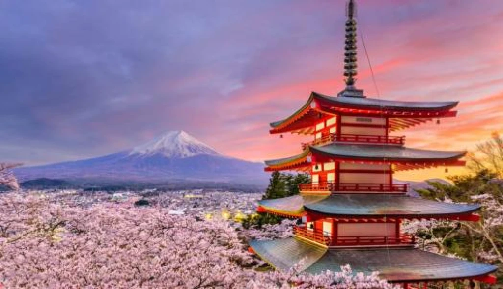 ELEGANT JAPONYA & GÜNEY KORE