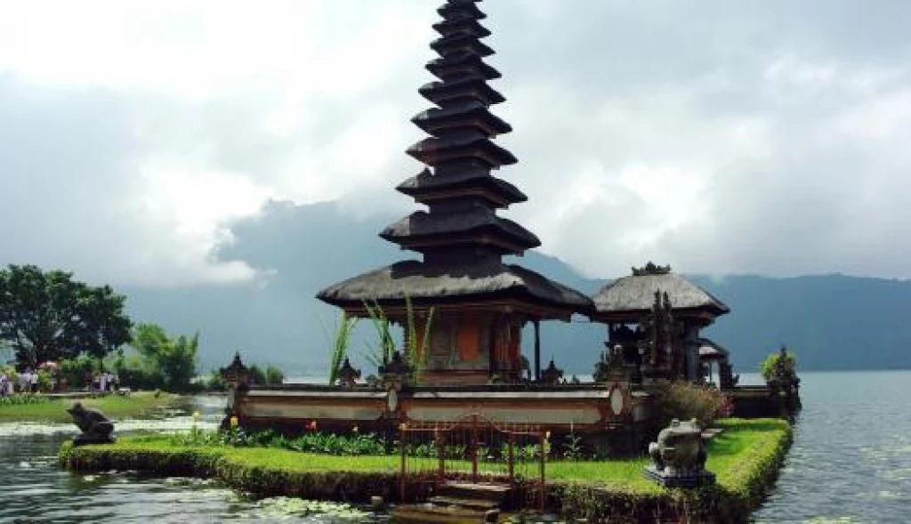 ELEGANT BALİ (F)