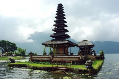 ELEGANT BALİ (F)