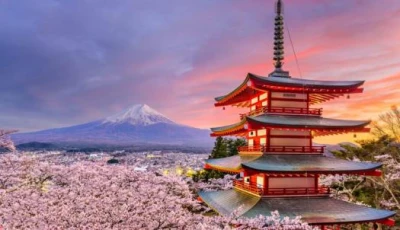 ELEGANT JAPONYA & GÜNEY KORE