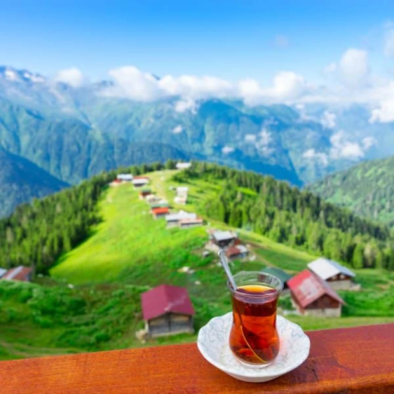 2 Gece 3 Gün Karadeniz Yaylaları Turu