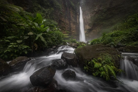 Bali Documentary-Style Nature & Human Photography Tours