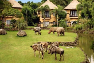 Bali Safari Park