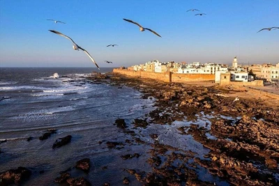Marrakeş'ten 2 günlük Essaouira gezisi