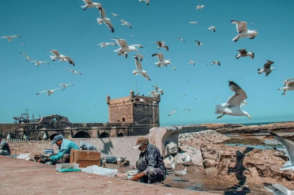 Marrakeş'ten 2 günlük Essaouira gezisi