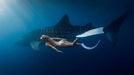 Whale Shark Swimming & Nature Tour