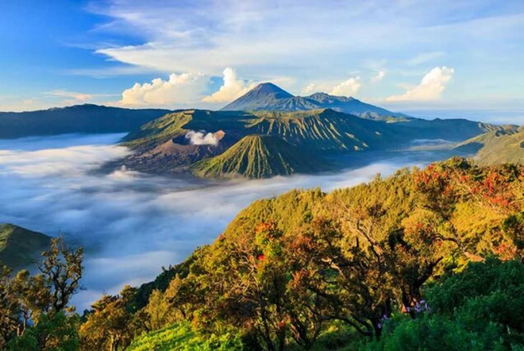 Kintamani Volcano Tour