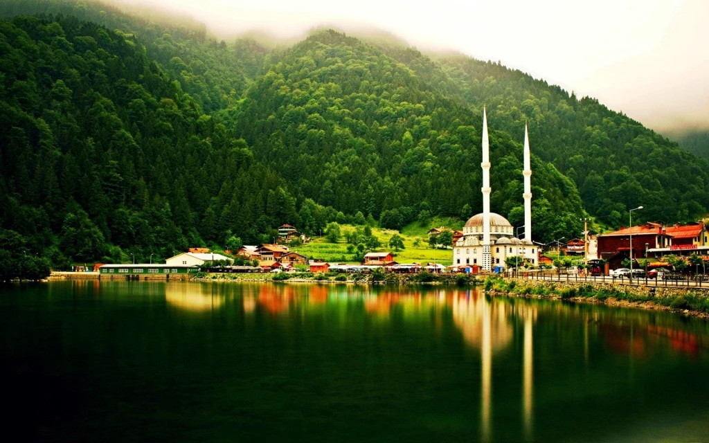 🌿 2 GECE KONAKLAMALI DOĞU KARADENİZ & BATUM TURU