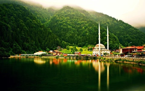 🌿 2 GECE KONAKLAMALI DOĞU KARADENİZ & BATUM TURU