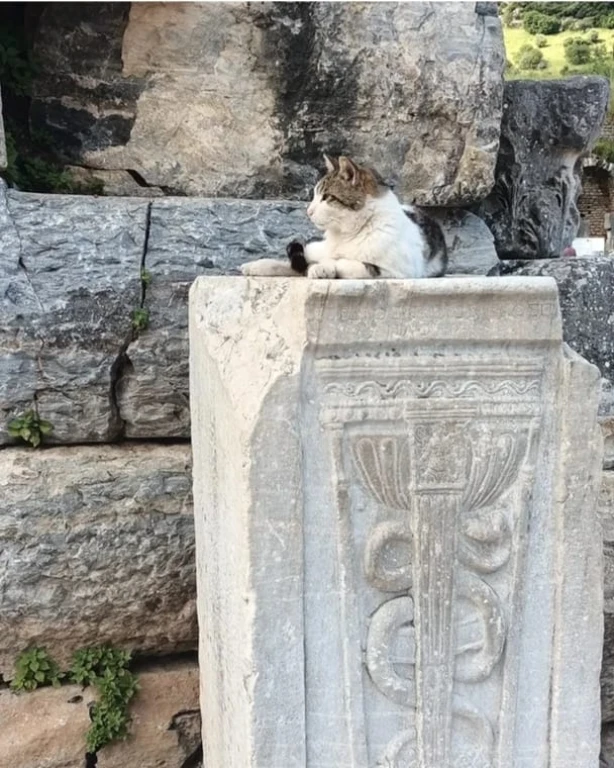 Half-Day Ephesus Tour