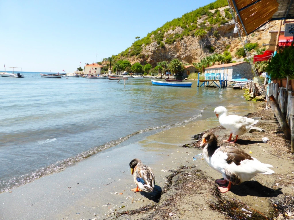 Konaklamalı Didim Lavender & Aromatherapy Festival Tour (Departing from Bursa)