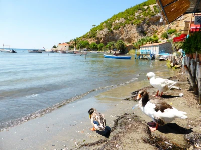 Konaklamalı Didim Lavender & Aromatherapy Festival Tour (Departing from Bursa)