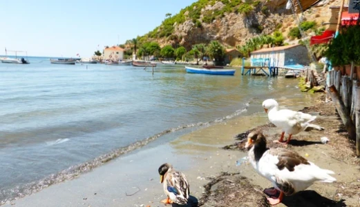 Konaklamalı Didim Lavender & Aromatherapy Festival Tour (Departing from Bursa)