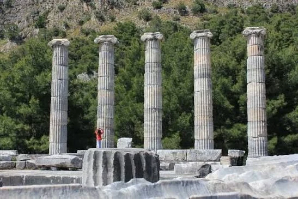 Konaklamalı Didim Lavender & Aromatherapy Festival Tour (Departing from Bursa)