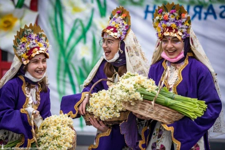Günübirlik Nergis Festivali Turu ( Bursa Çıkışlı )