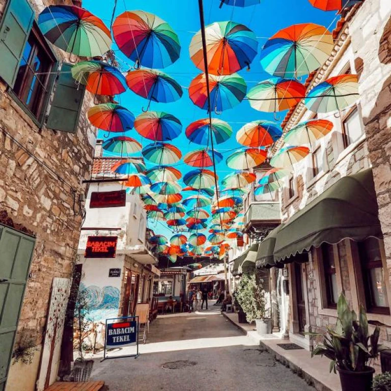 Seferihisar Mandalina Festivali ( Bursa Çıkışlı)