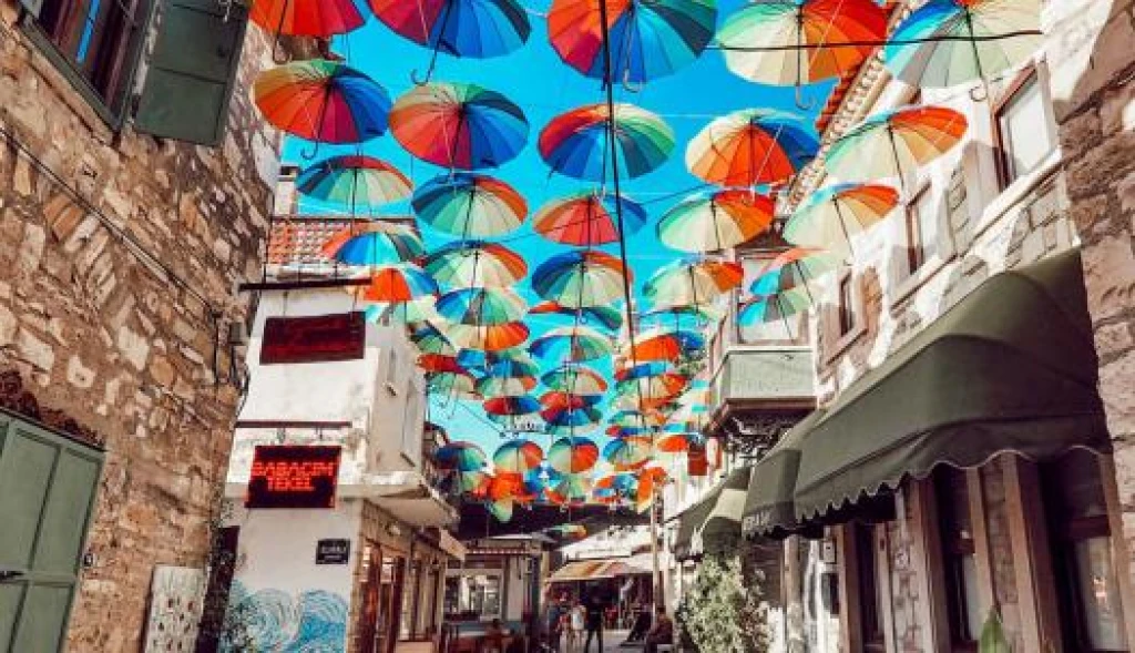 Seferihisar Mandalina Festivali ( Bursa Çıkışlı)