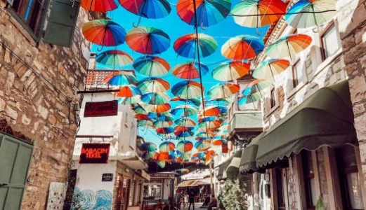 Seferihisar Mandalina Festivali ( Bursa Çıkışlı)
