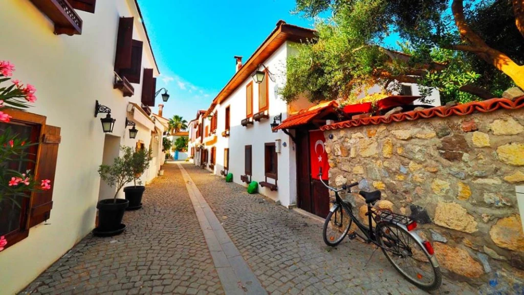 Seferihisar Mandalina Festivali ( Bursa Çıkışlı)