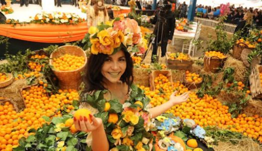 Seferihisar Mandalina Festivali ( Bursa Çıkışlı)