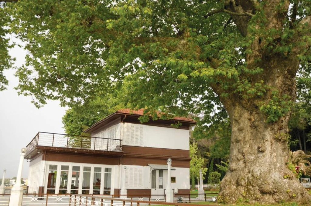 Yalova Tour (Departing from Bursa)