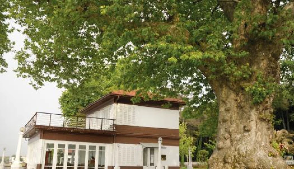 Yalova Aronya Festivali Turu ( Günübirlik Bursa Çıkışlı )