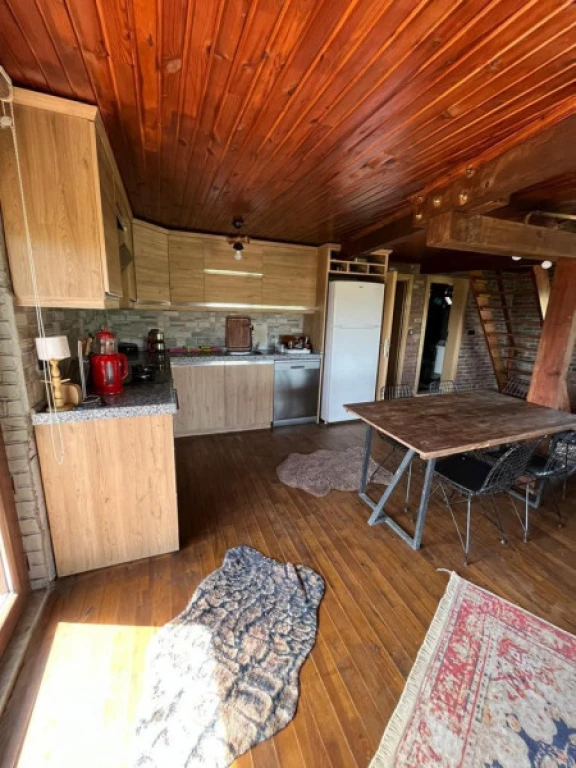  İznik Villa House 2 ( Havuzlu- Jakuzili - Şömineli ) 11-1-1