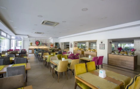 Bitez Garden Life Bodrum Bursa Çıkışlı
