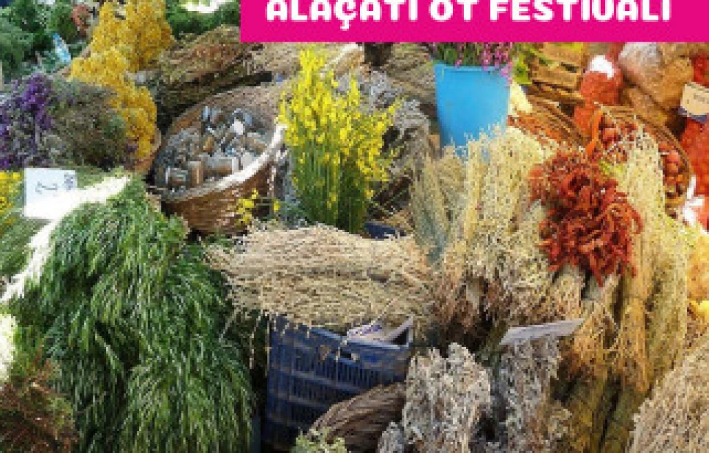 Day Trip Alaçatı Herb Festival (Departing from Bursa)